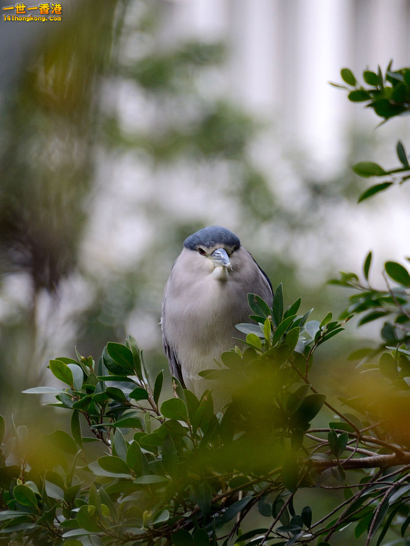 nEO_IMG_DSC_5791.jpg