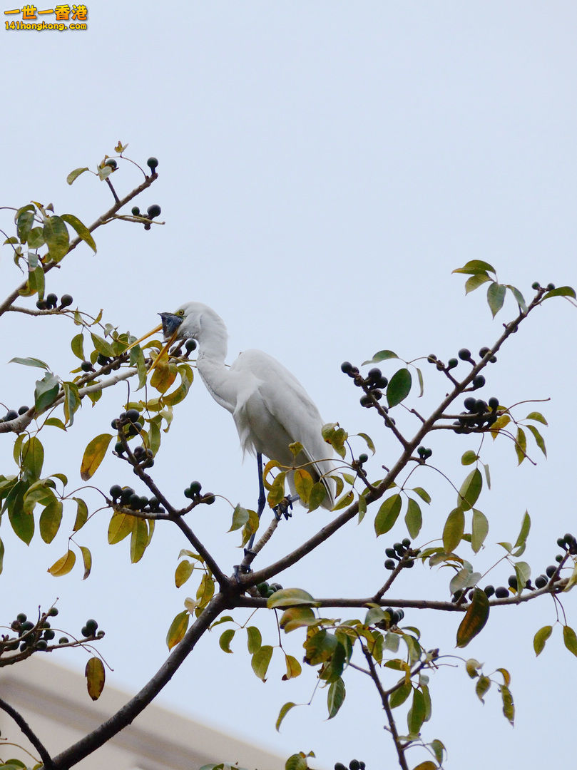 nEO_IMG_DSC_5834.jpg