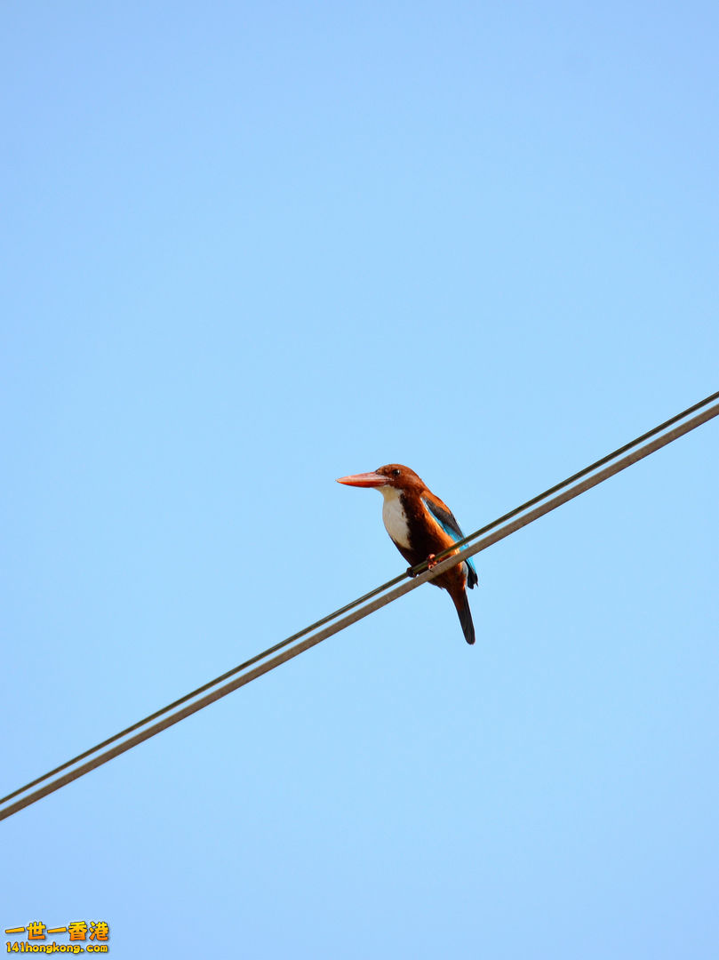 nEO_IMG_DSC_6331.jpg