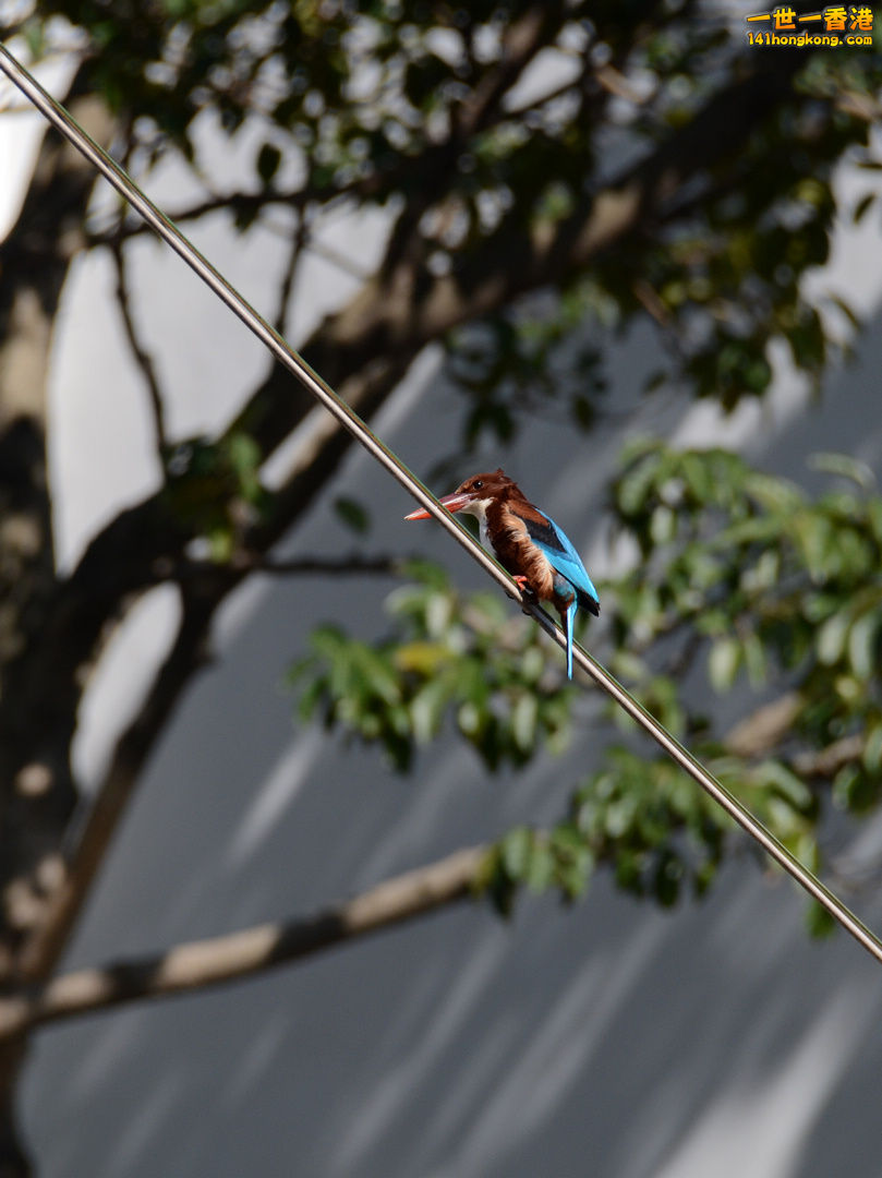 nEO_IMG_DSC_6348.jpg