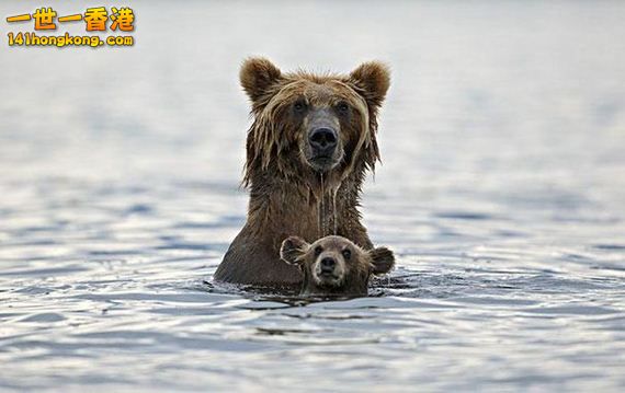 01-mini_me_animal.jpg