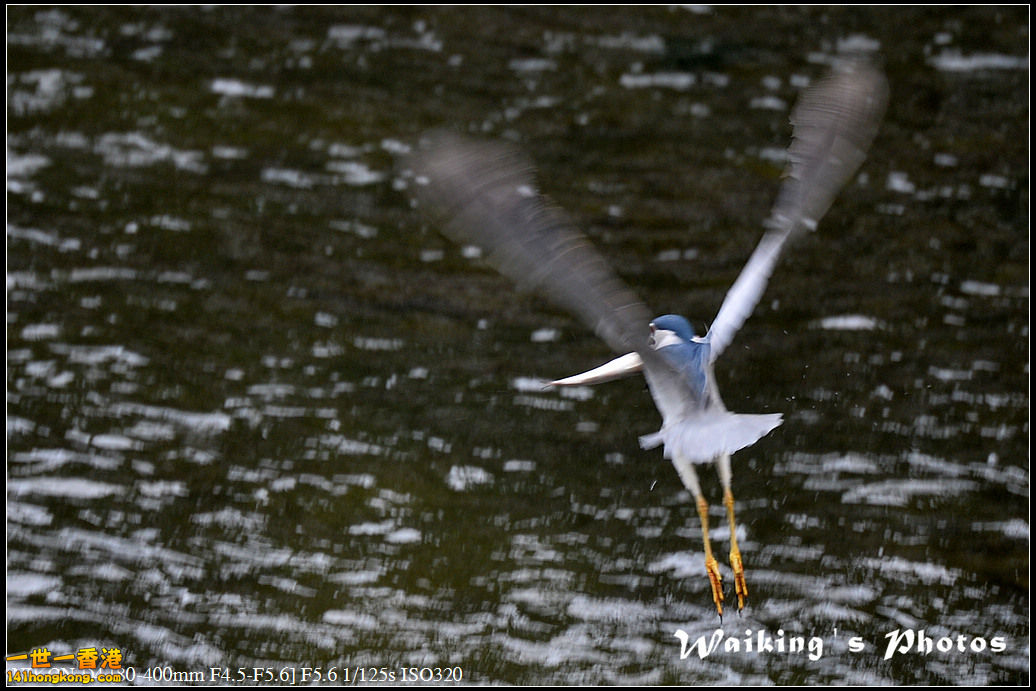 DSC_4559.jpg