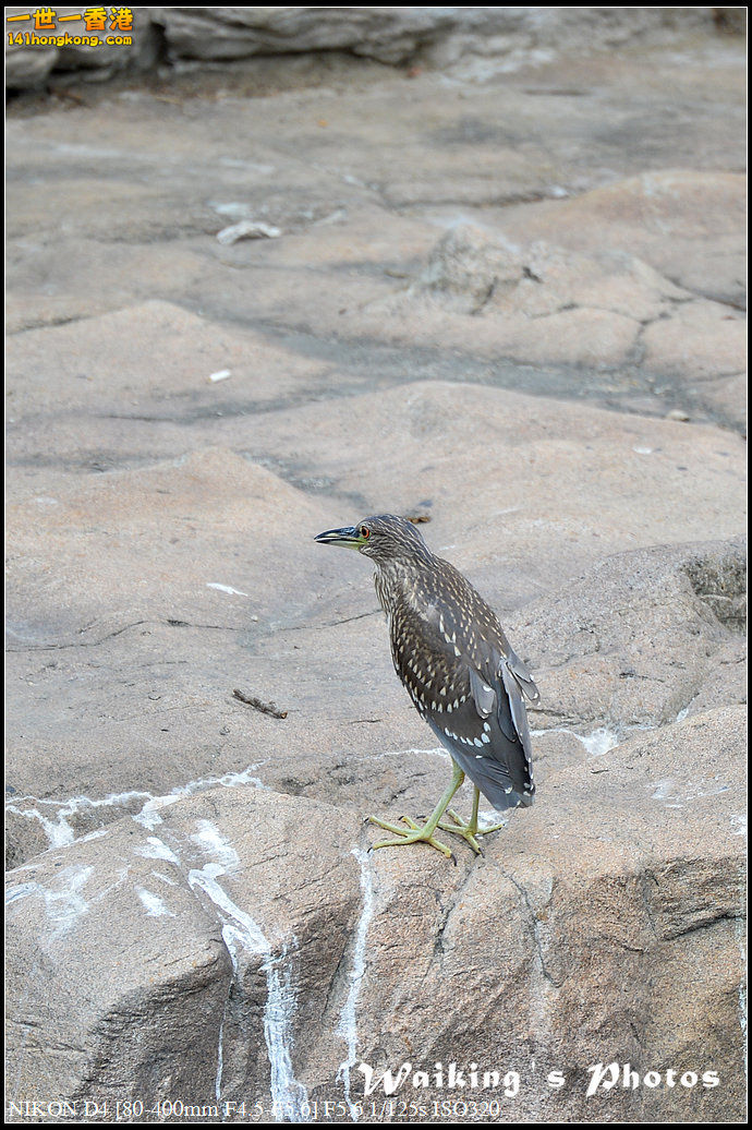DSC_4707.jpg