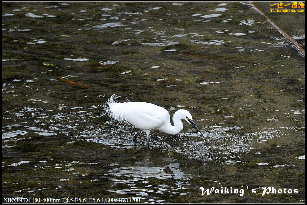 DSC_5544.jpg