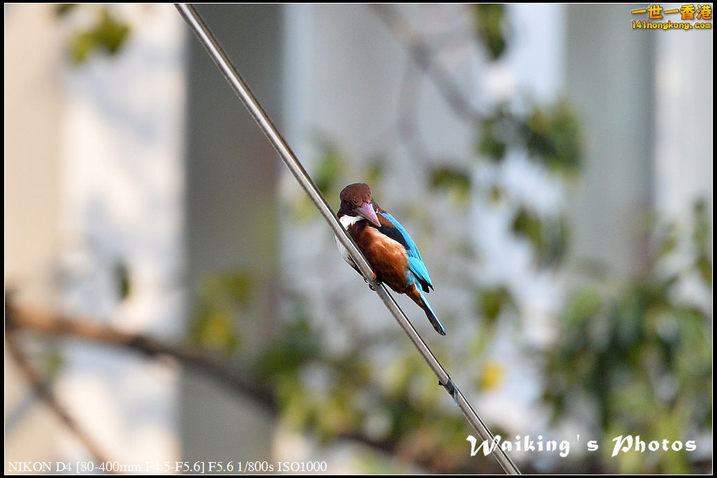 DSC_5039.jpg