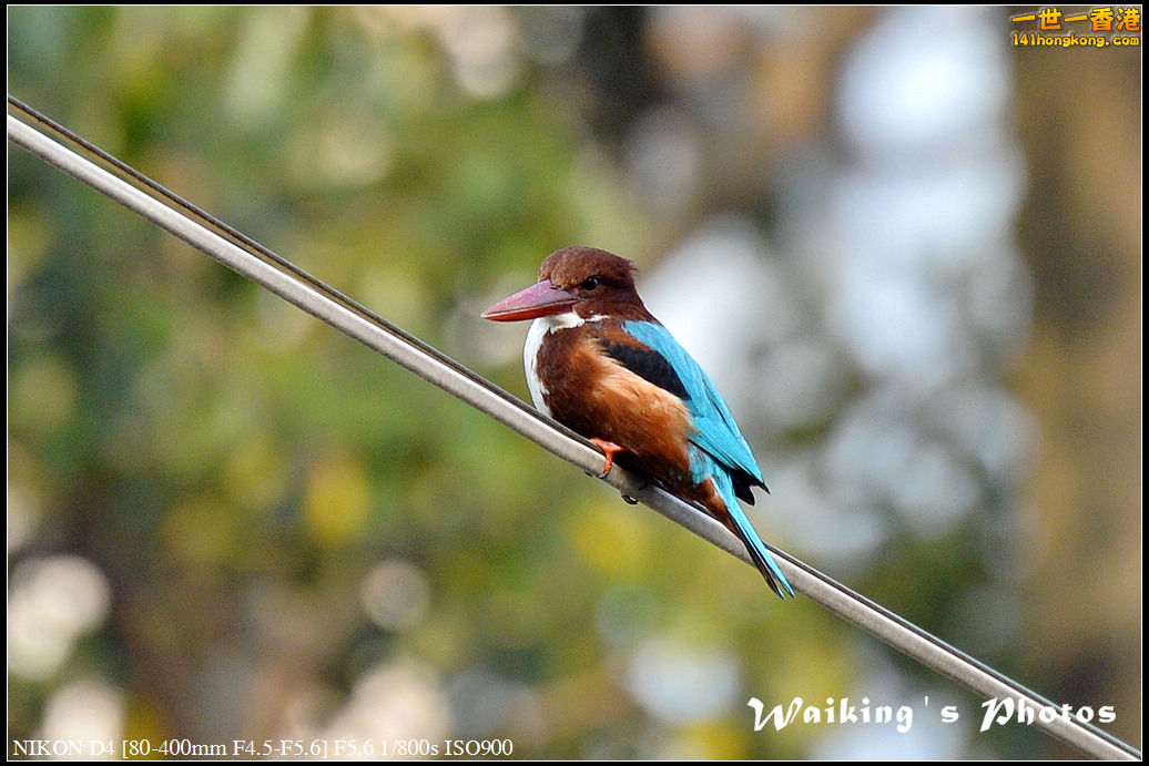 DSC_5263.jpg