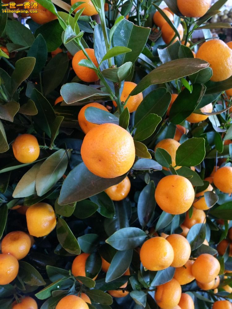 20140201_162109.jpg