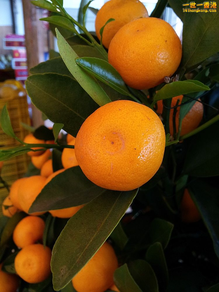 20140201_162148.jpg