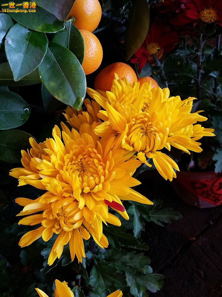 20140201_162130.jpg