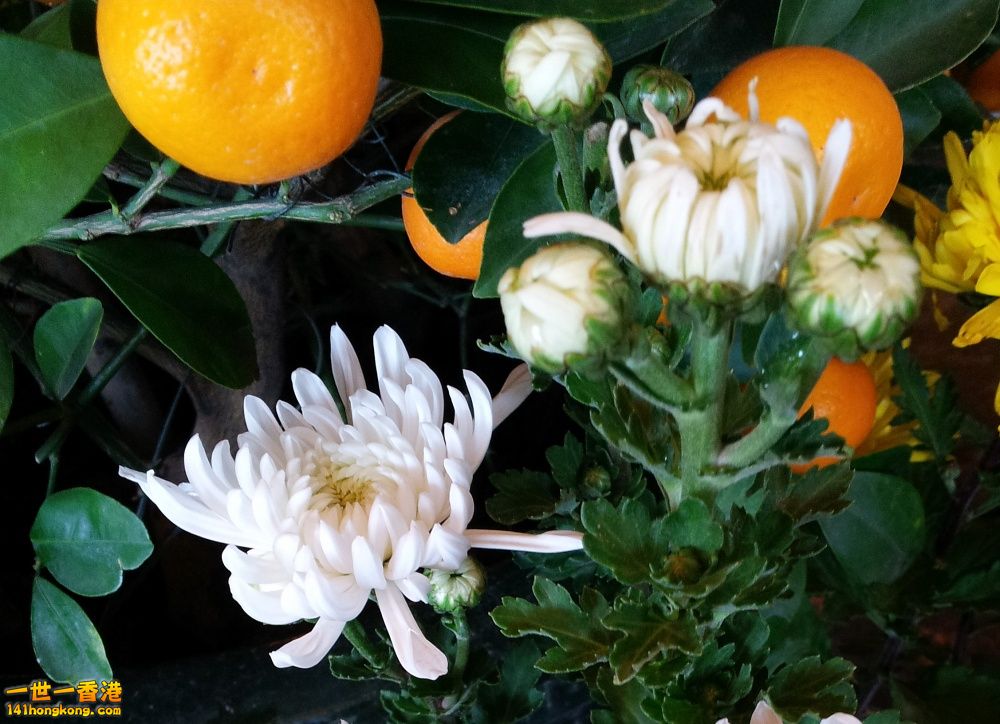 20140201_162337.jpg