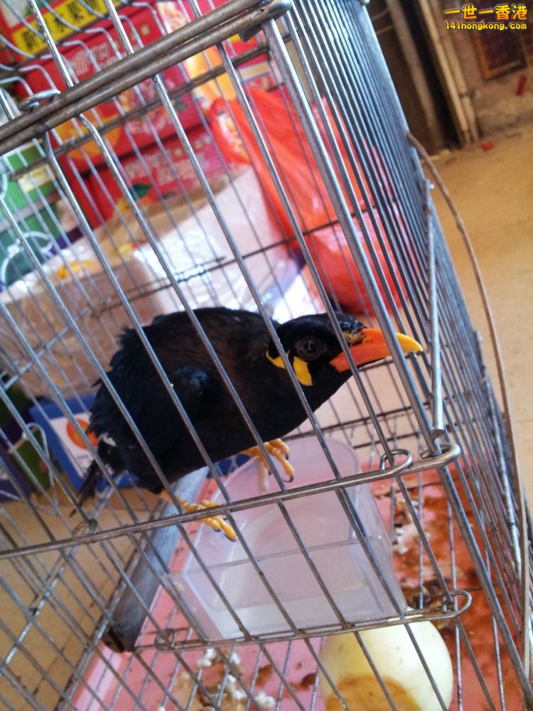 20140201_162453.jpg