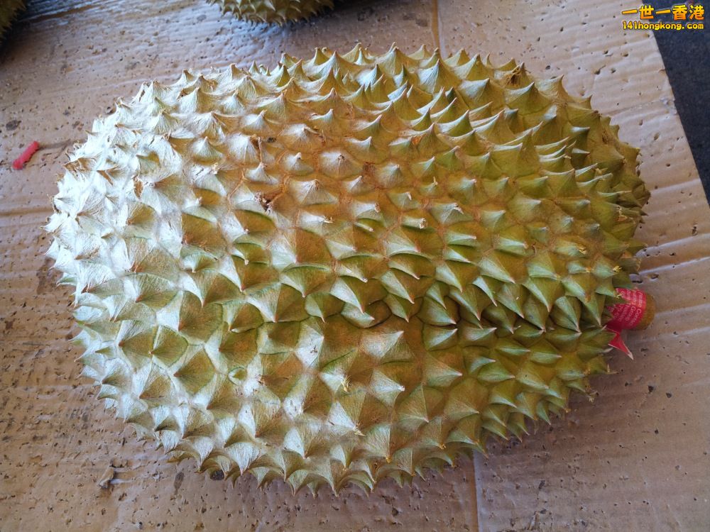 20140201_163010.jpg