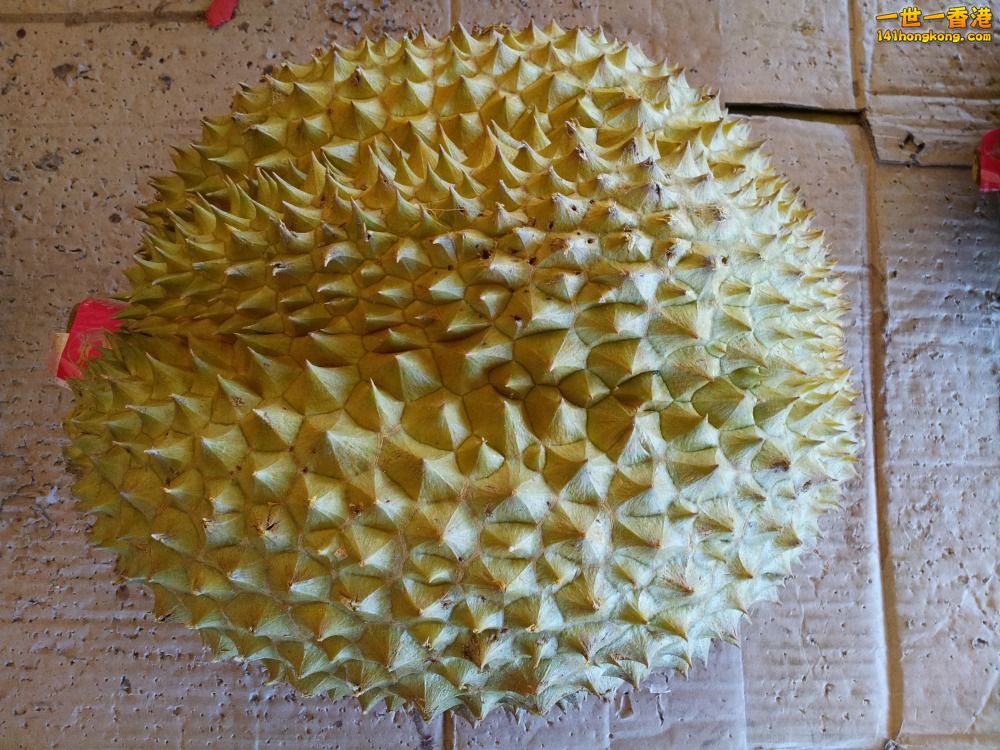 20140201_163044.jpg