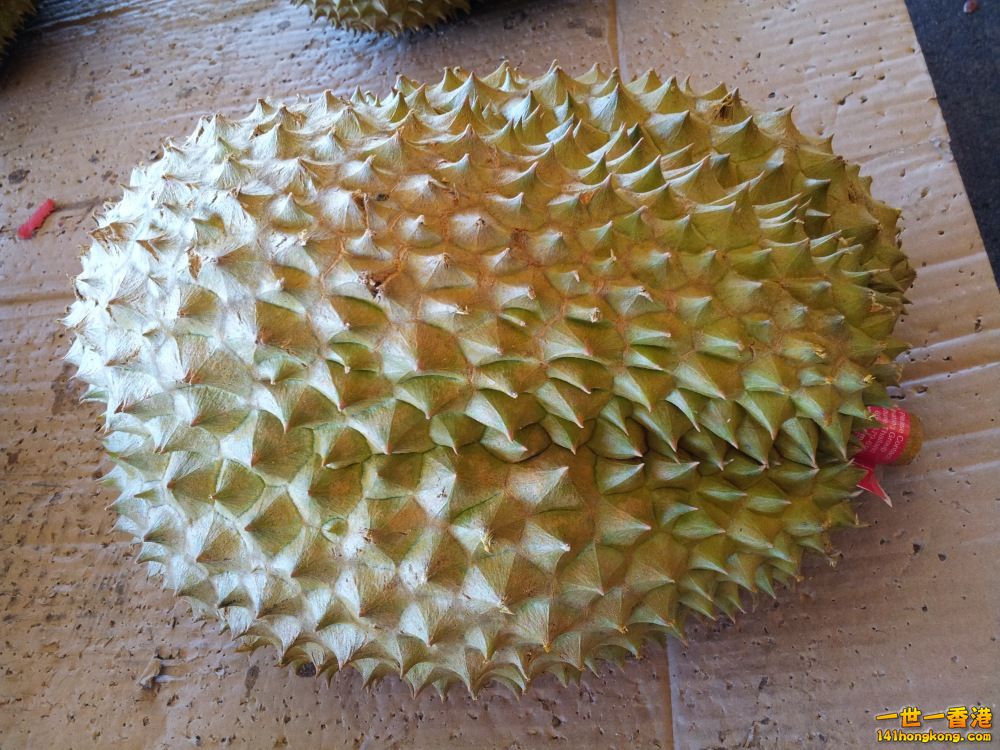 20140201_163010.jpg