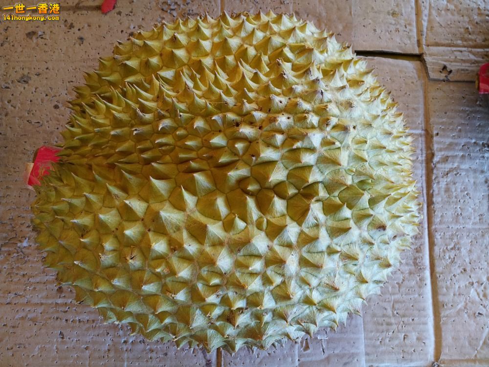 20140201_163044.jpg