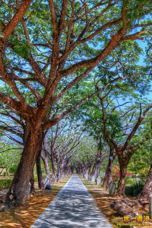 DSC04152_3_4_tonemapped.jpg