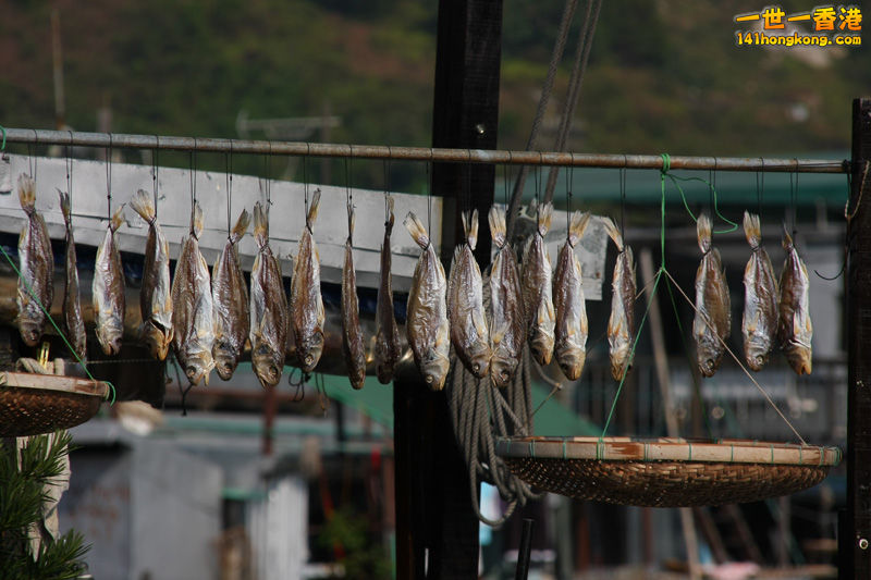 大澳晒咸魚
