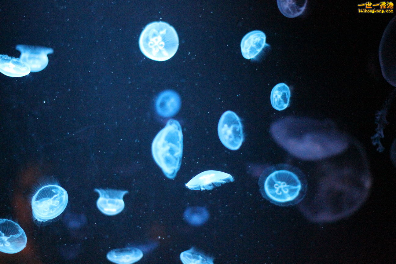 IMG_4491.JPG