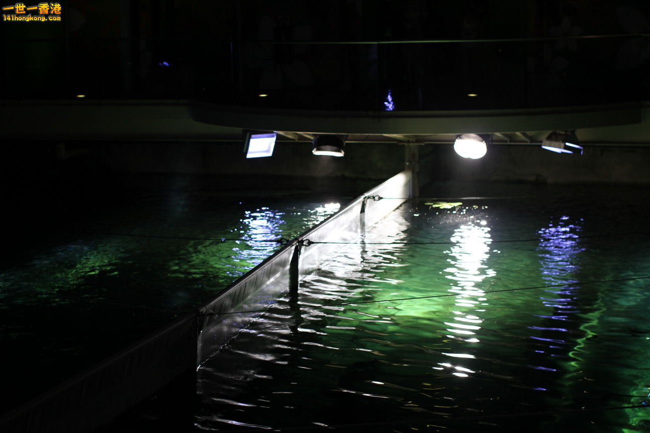 IMG_4565.JPG