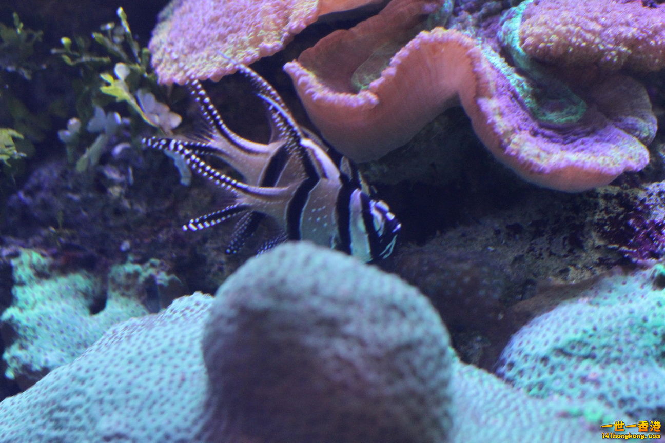 IMG_4614.JPG