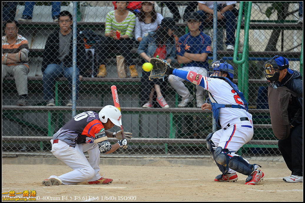 DSC_7591.jpg
