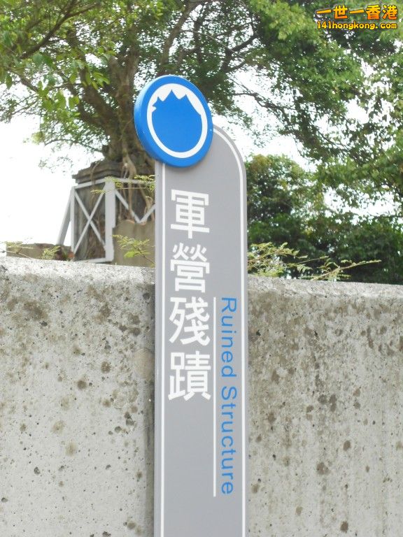040.jpg