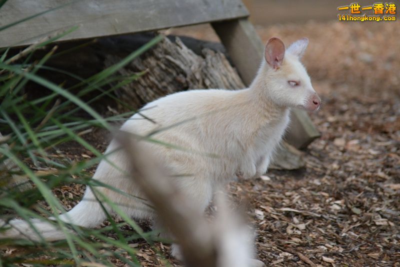 DSC_9878 [800x600].jpg