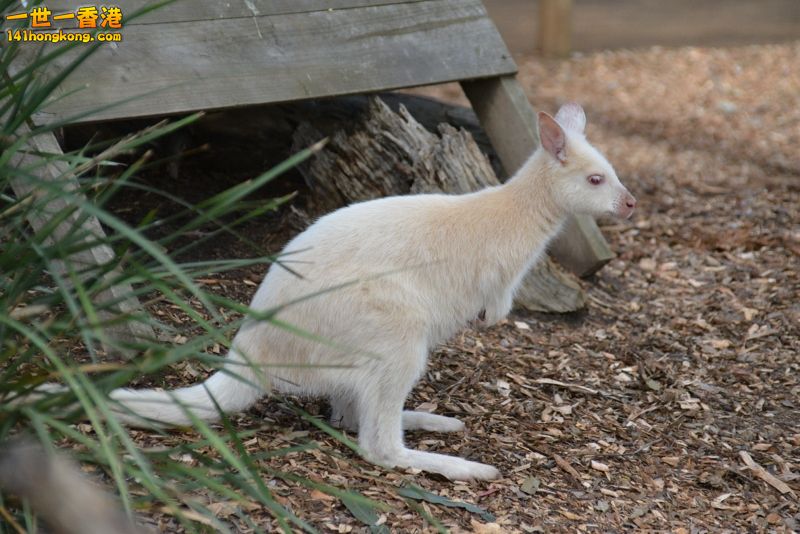 DSC_9879 [800x600].jpg