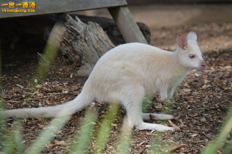 DSC_9880 [800x600].jpg