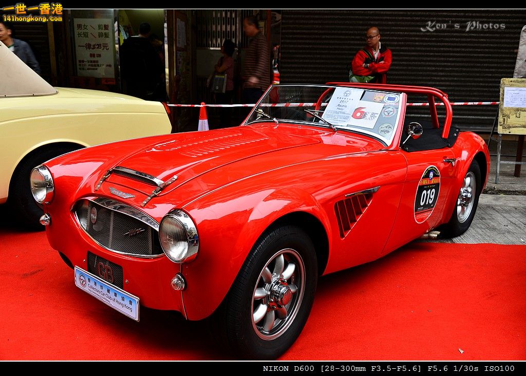 DSC_4494.jpg