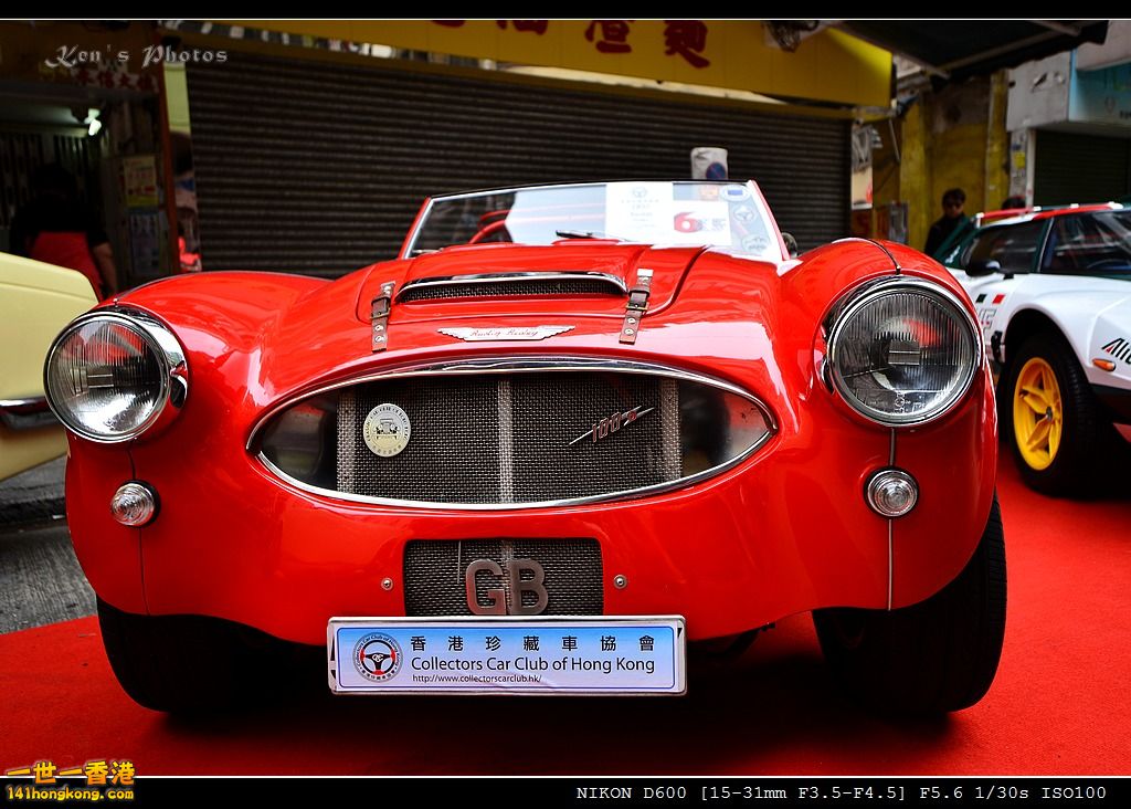 DSC_4499.jpg