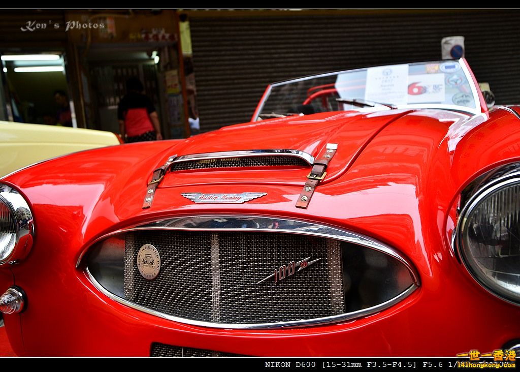 DSC_4500.jpg