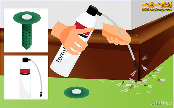 670px-Get-Rid-of-Termites-Step-4.jpg