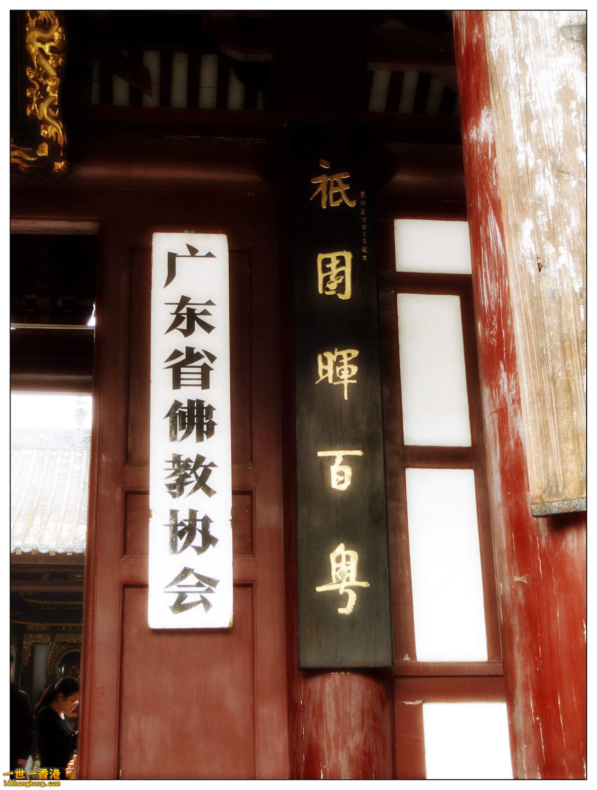 DSC00402.jpg
