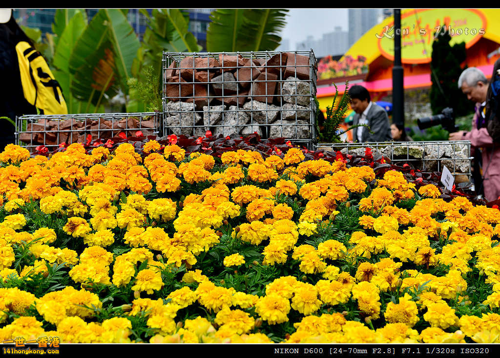 DSC_5251.jpg