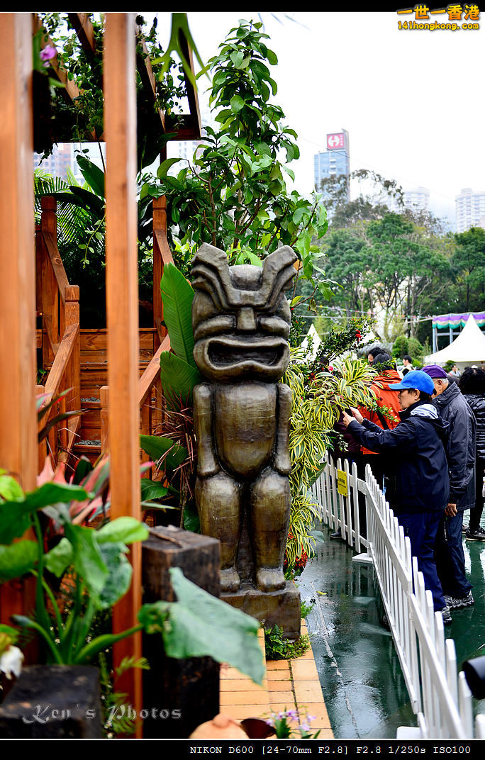 DSC_5322.jpg