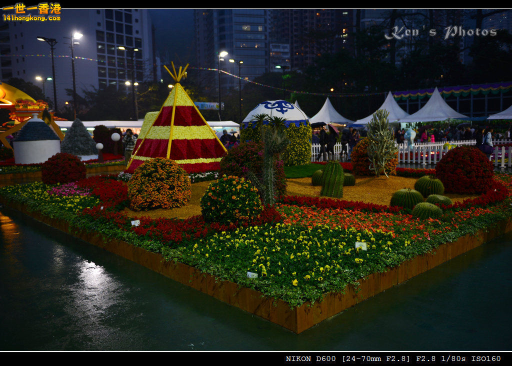 DSC_6511.jpg