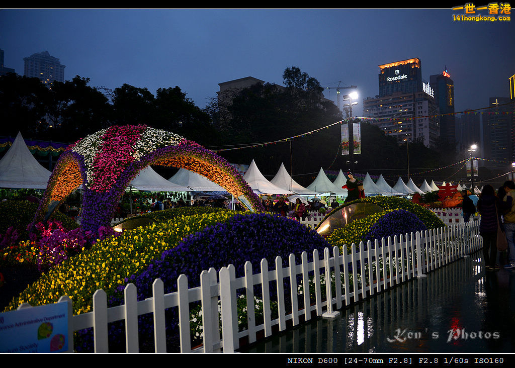 DSC_6519.jpg