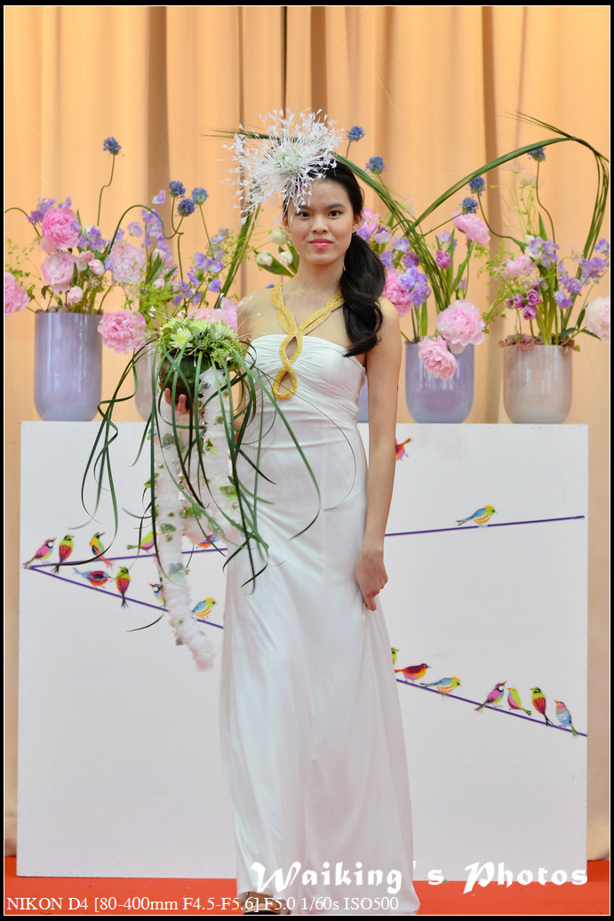DSC_0844.jpg