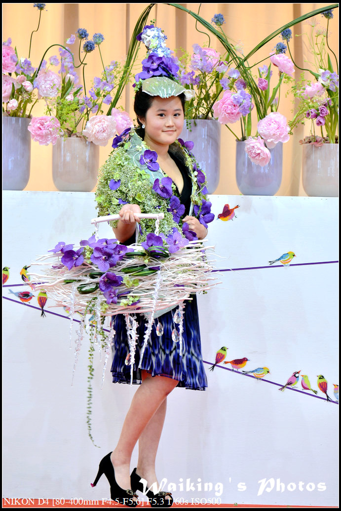 DSC_0955.jpg