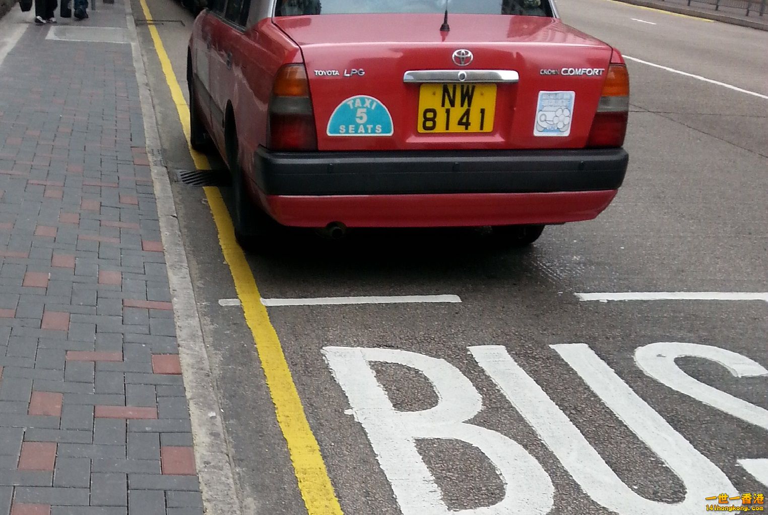 20140316_105252a.jpg