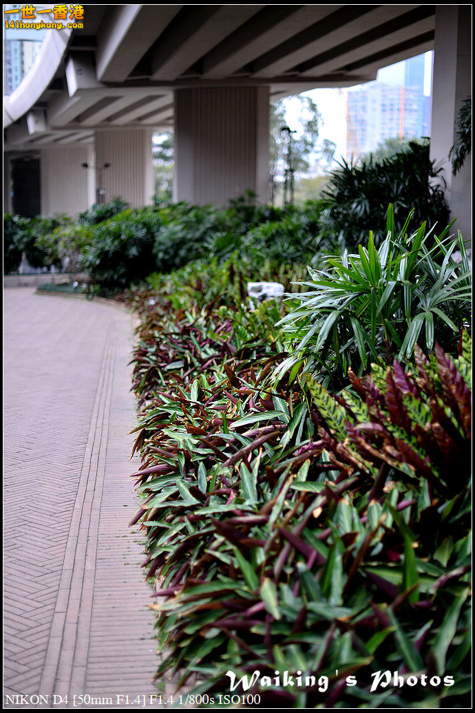 DSC_2096.jpg