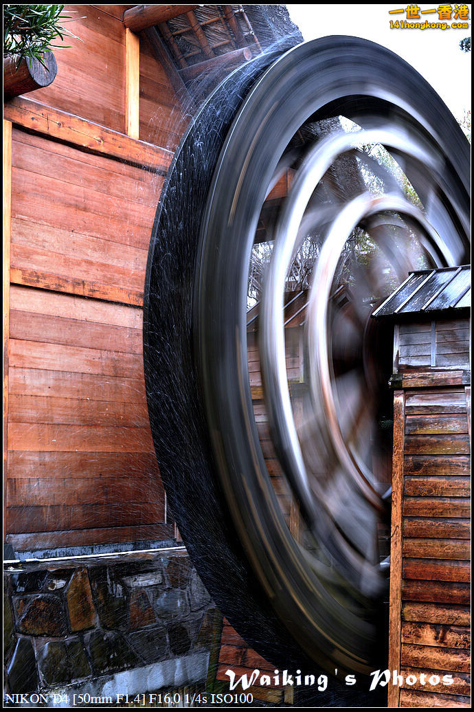 DSC_2135.jpg