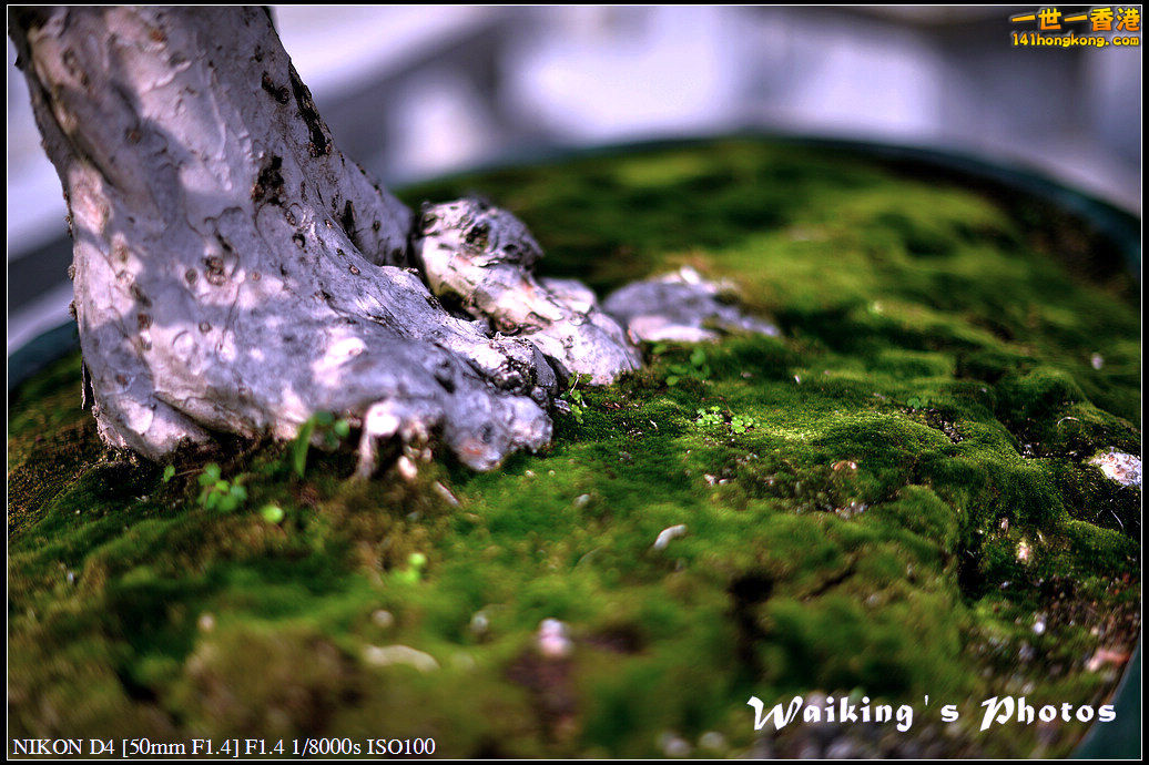 DSC_2189.jpg