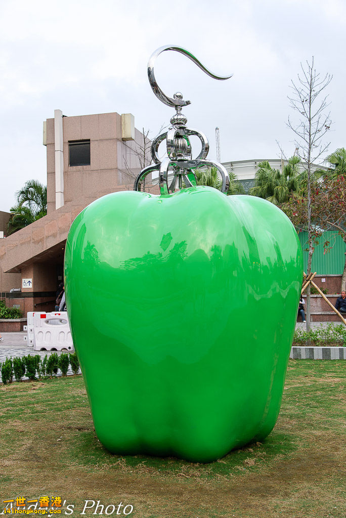 DSC_7649.jpg