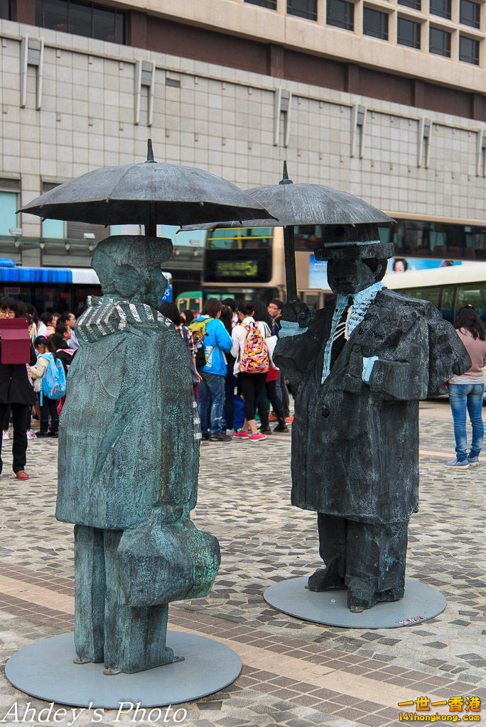 DSC_7656.jpg