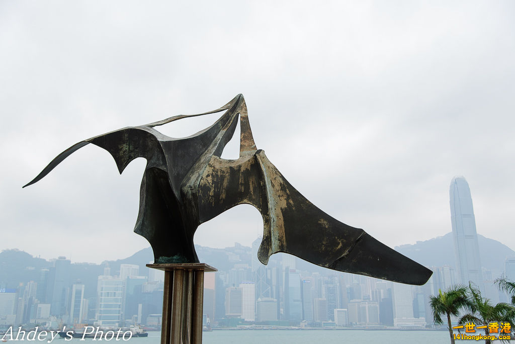 DSC_7912.jpg