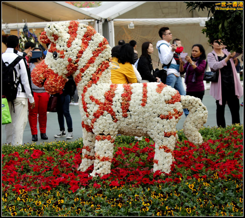 _MG_7579 - 複製.jpg