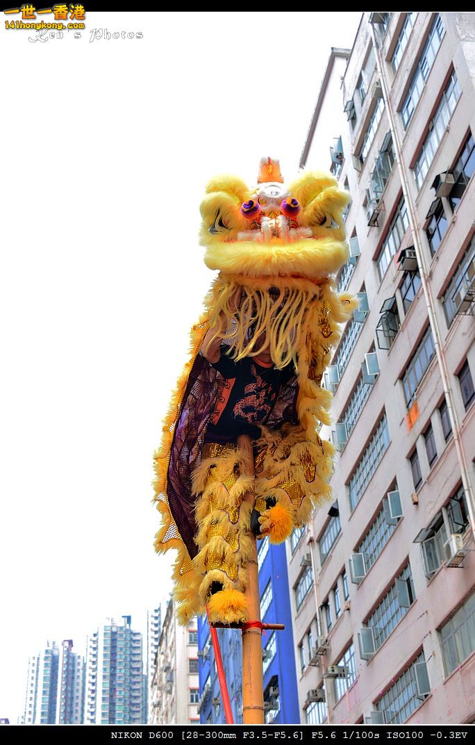 DSC_4135.jpg