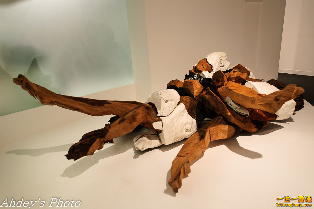 DSC_8074.jpg